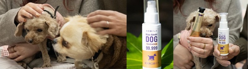 �w�����p���o�P�A�W�F���x�́A�r�߂邾���ł����̌��ʂ𔭊��I���T�C�g